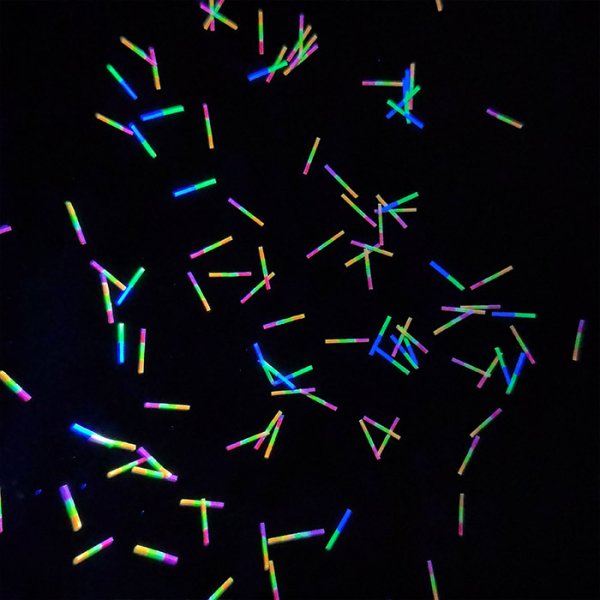 正反异色异段纤维